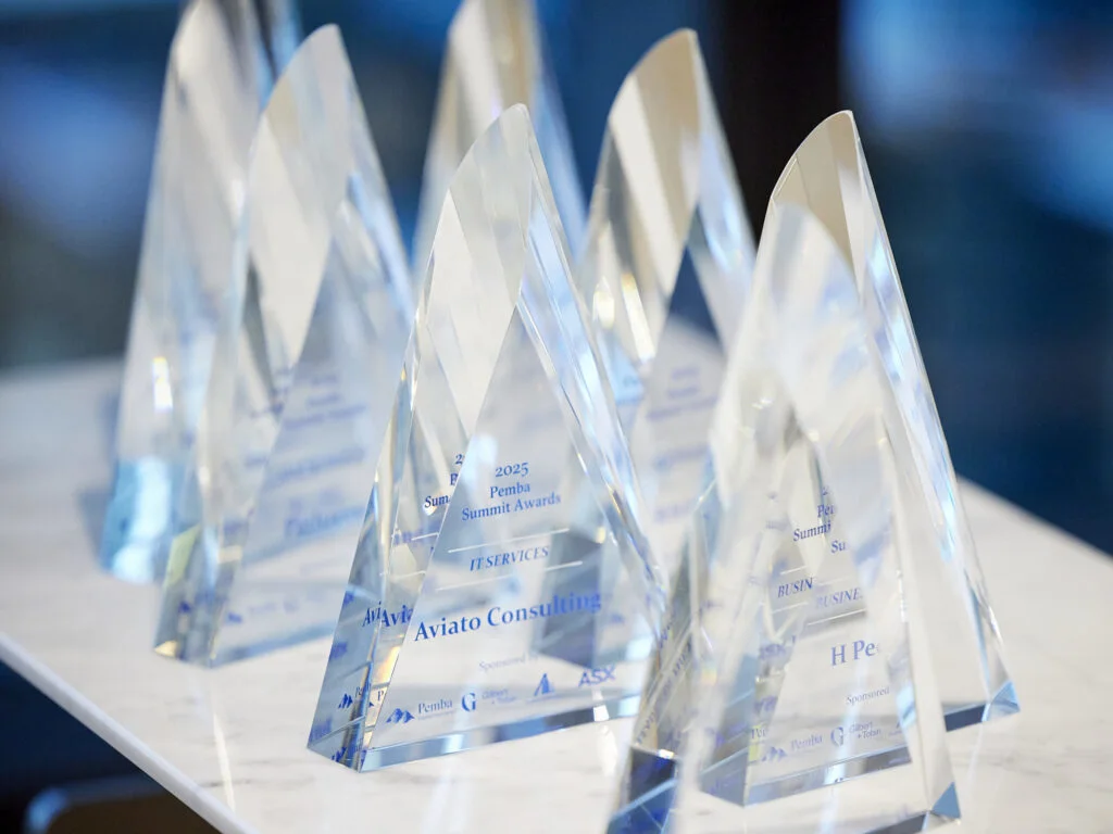 Pemba Summit Awards 2025 9  1